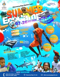 Eco-camp 2018 flyer